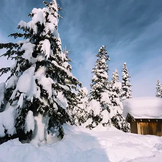 Разработано для сурового климата